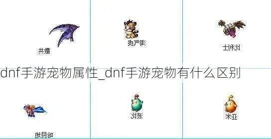手游dnf宠物词条-DNF宠物词条攻略指南