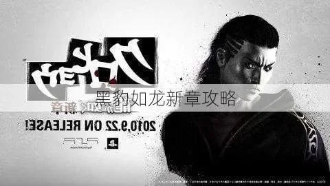 黑豹如龙新章道具-神秘道具增强沉浸体验