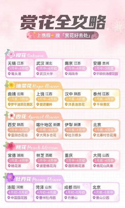 鲜花游戏排行榜-全球赏花旅行指南